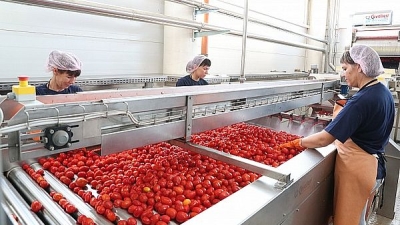 В Волгоградской области растет объем переработки сельхозпродукции