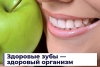 Здоровые зубы — здоровый организм