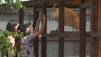 Пеликаны, еноты, эму: белгородские школьники посетили экоферму под Волгоградом